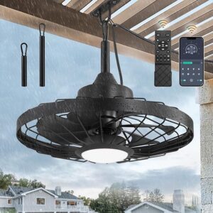 5. LEDIARY 20" Outdoor Ceiling Fan with Light