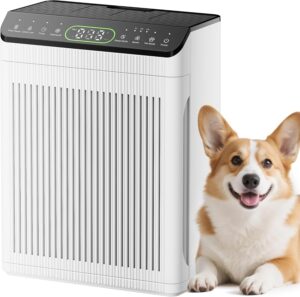 3. EVALIT Air Purifier for Basement