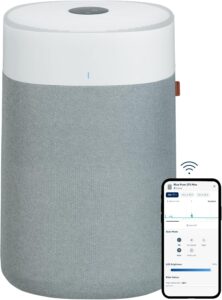 6. BLUEAIR Air Purifier for Basement