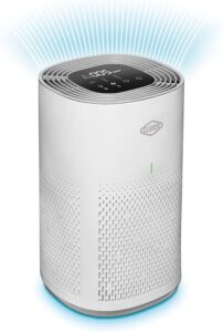 7. Clorox Air Purifier for Mold