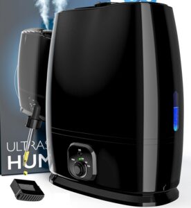 10. Everlasting Comfort Humidifier for Dry Nose