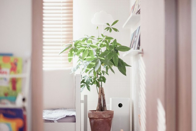 Air Purifier Size Calculator